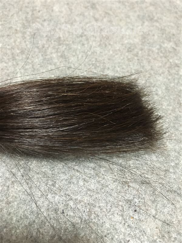 美容師パパの「ビゲン香りのヘアカラー」市販の白髪染め比較レビュー